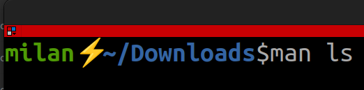 Terminal Man ls